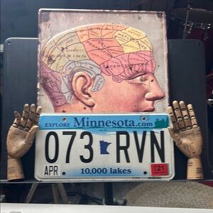 Minnesota License Plate—Good Condition!